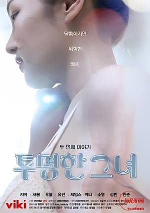 The Transparent Girls Second Story